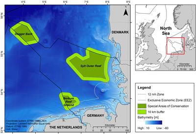 Small Cetacean in a Human High-Use Area: Trends in Harbor Porpoise Abundance in the North Sea Over Two Decades